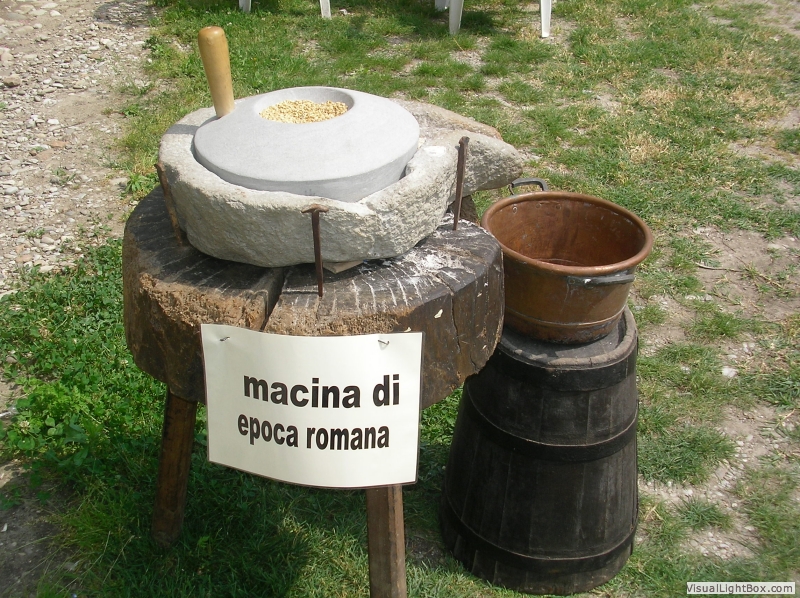 museo_334 museo_334