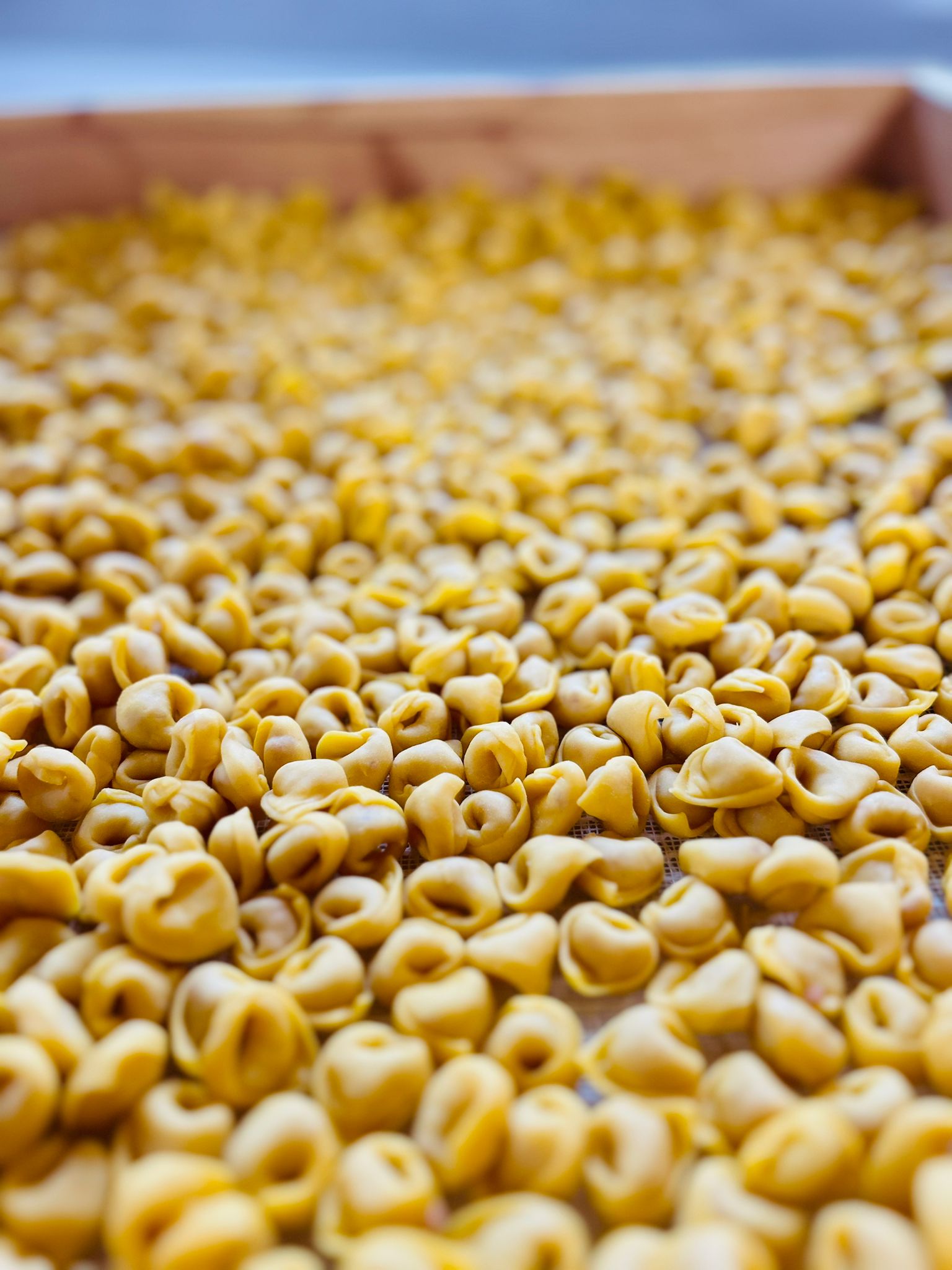 452532e8-278a-4070-aa0f-1fff08cc50e6 452532e8-278a-4070-aa0f-1fff08cc50e6